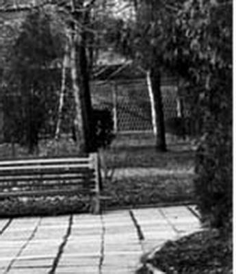 Прикрепленное изображение: ленинский парк 01.jpg